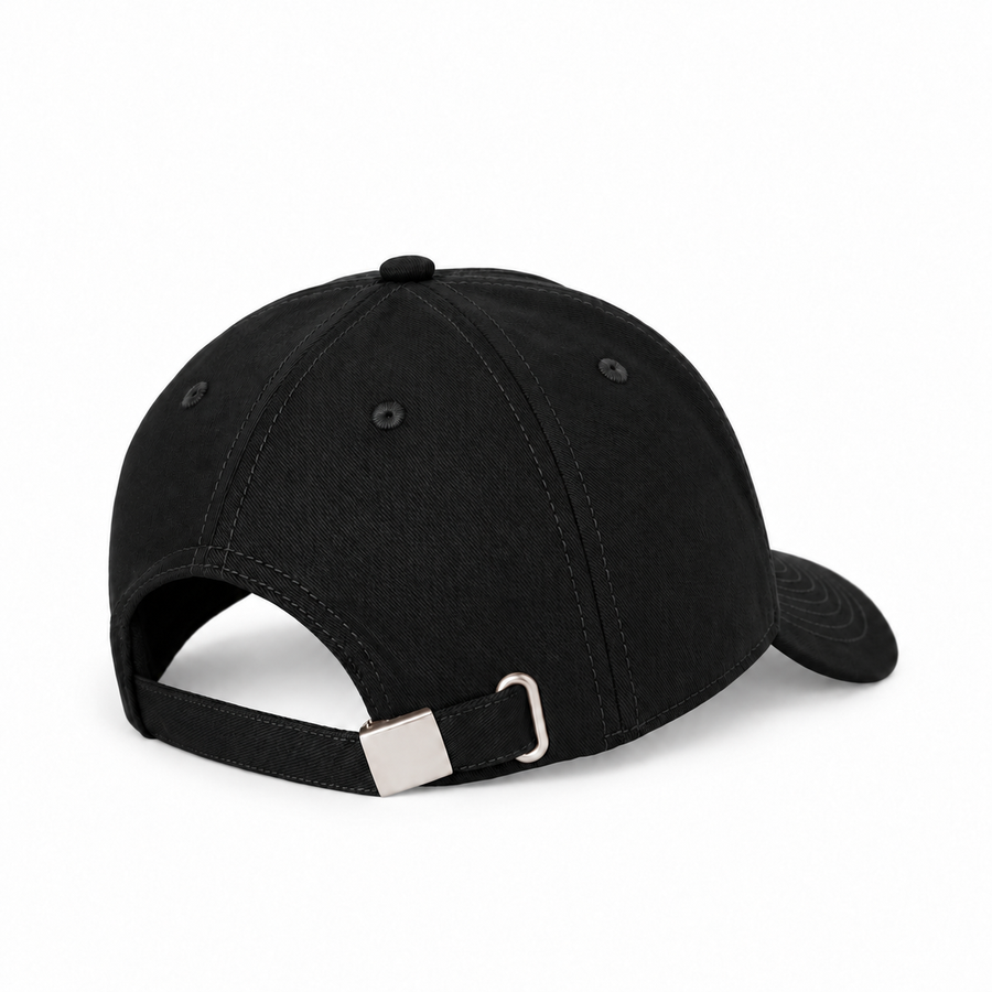 LAB OG 6 PANEL CAP