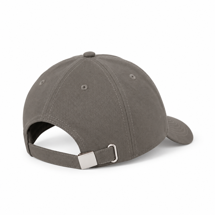 LAB OG 6 PANEL CAP