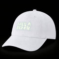 LAB LOGO SIX PANEL CAP